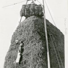 Gigantic haystack