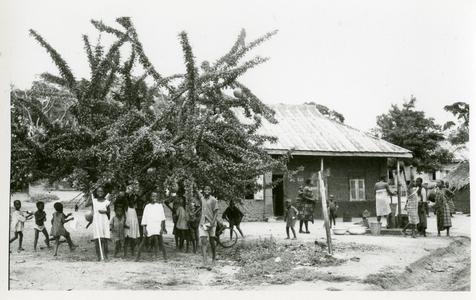 Children playing under calabash tree