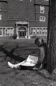 Students reading under a tree