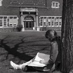 Students reading under a tree