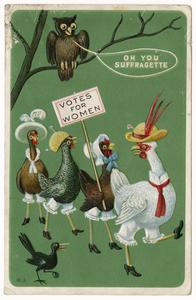 Chickens and owl, suffrage postcard
