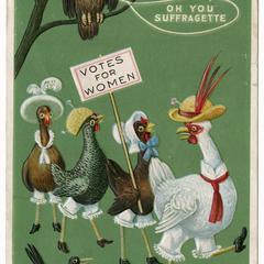 Chickens and owl, suffrage postcard