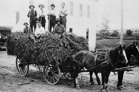 Seven men on a wagon load of peas (?)
