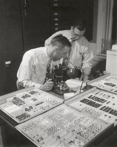 Daniel Benjamin and Roy Schenefelt with specimens