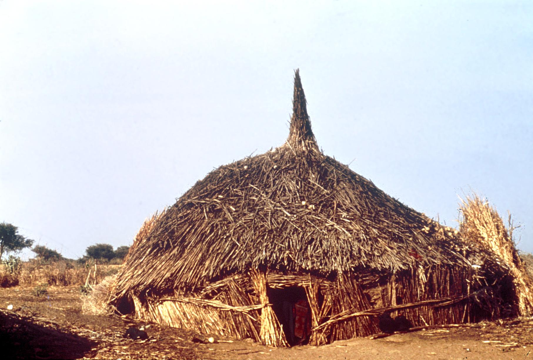 A Nomadic Familys Housing Made from Guinea Corn (Sorghum) Stalks - UWDC -  UW-Madison Libraries