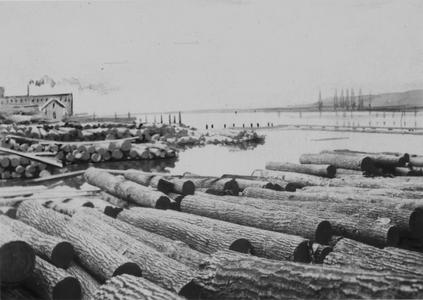 Logs in river ready to be hauled into the plant.