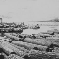 Logs in river ready to be hauled into the plant.
