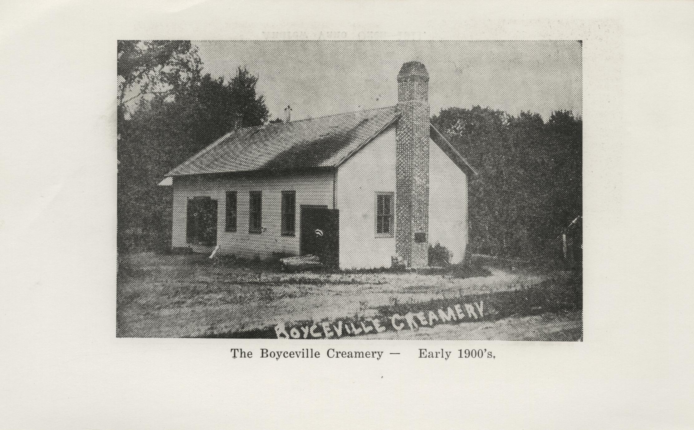 Panorama of progress the history of Boyceville, Wisconsin 18601960