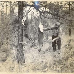 Carl on deer hunt, with doe carcasses hanging from tree branch, Chihuahua, Mexico, January 1938