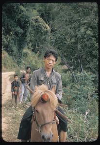 Hmong (Meos) with ponies