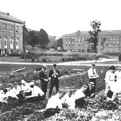 Plant Pathology field