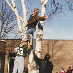 Students climbing a birch tree in courtyard