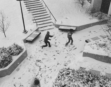 Students having snowball fight