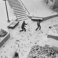 Students having snowball fight