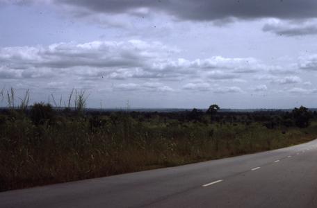 Fields in East Nigeria