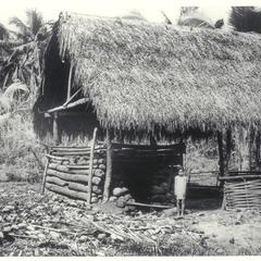 Coconuts, ca. 1920-1928