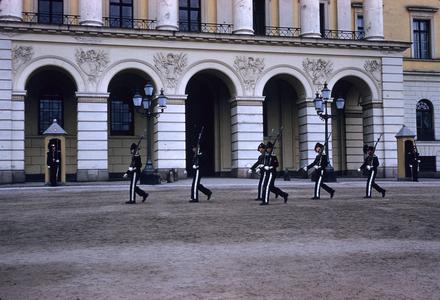Norwegian palace guards