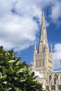 Norwich Cathedral tower from southeast