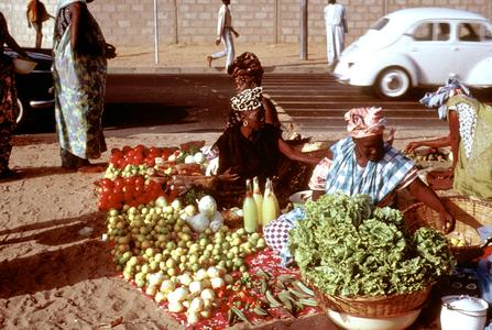 Vegetables Sold at the Beach of Soumbedioune