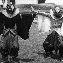 Vultures from Ramayana story
