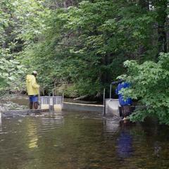 Fish trap to capture movement of fish at Trout Lake