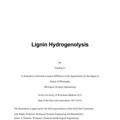 Lignin Hydrogenolysis