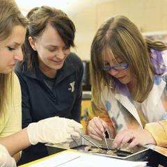 Biology Lab with Laura Lee, University of Wisconsin--Marshfield/Wood County, 2013