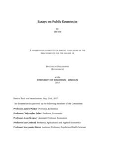 Essays on Public Economics