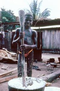 Ebrie Girl Preparing Cassava (Manioc)