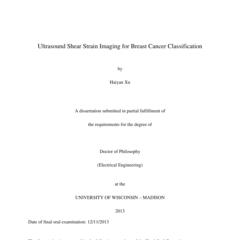 Ultrasound Shear Strain Imaging for Breast Cancer Classification