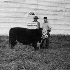 Men with a cow, 1956 Wisconsin Livestock Breeders Association Show