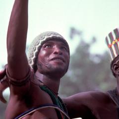 A Fulbe Wrestler Looks up during Sharo Match
