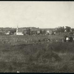 Farm scene