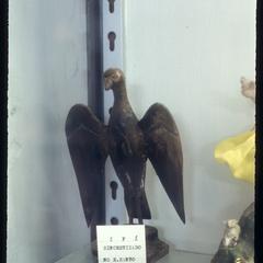Ifa as a Bird