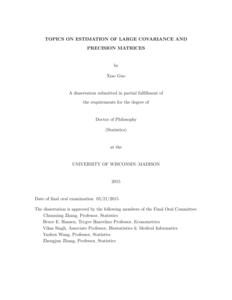 Topics on estimation of large covariance and precision matrices