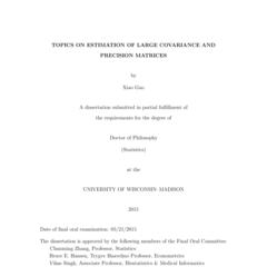 Topics on estimation of large covariance and precision matrices