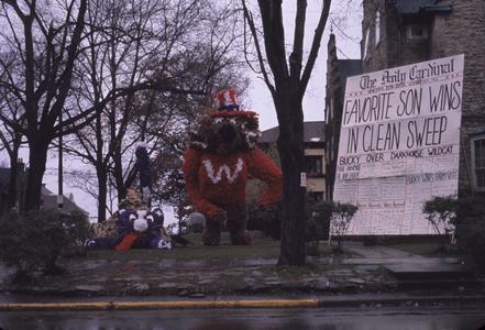Bucky and wildcat homecoming decorations