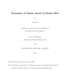 Dynamics of elastic sheets in Stokes flow