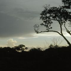 View of land near Abuja