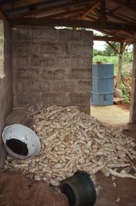 Pile of cassava