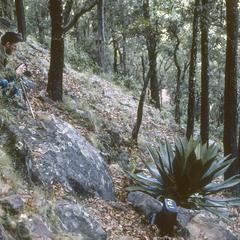 Michael Nee with Agave, Cerro Tequila