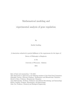 Mathematical modeling and experimental analysis of gene regulation