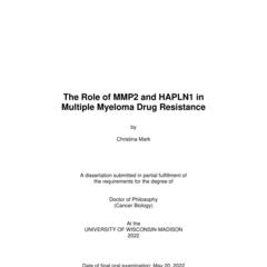 The Role of MMP2 and HAPLN1 in Multiple Myeloma Drug Resistance