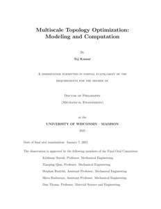 Multiscale Topology Optimization: Modeling and Computation