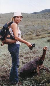 Lynn R. Reeder (Field Assitant) with a giant tortoise (Geochelone elephantopus ephippium) "Onan"
