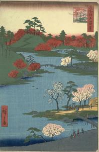 Cherry Blossoms at the Hachiman Shrine in Fukagawa, no. 59 from the series One-hundred Views of Famous Places in Edo
