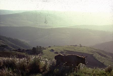 Xhosa Transkei landscape
