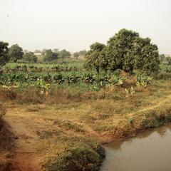 Agricultural land of Bida