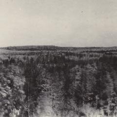 View from gravel pit near Lily, WI