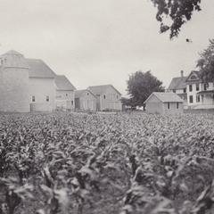 W.M. Foley farm